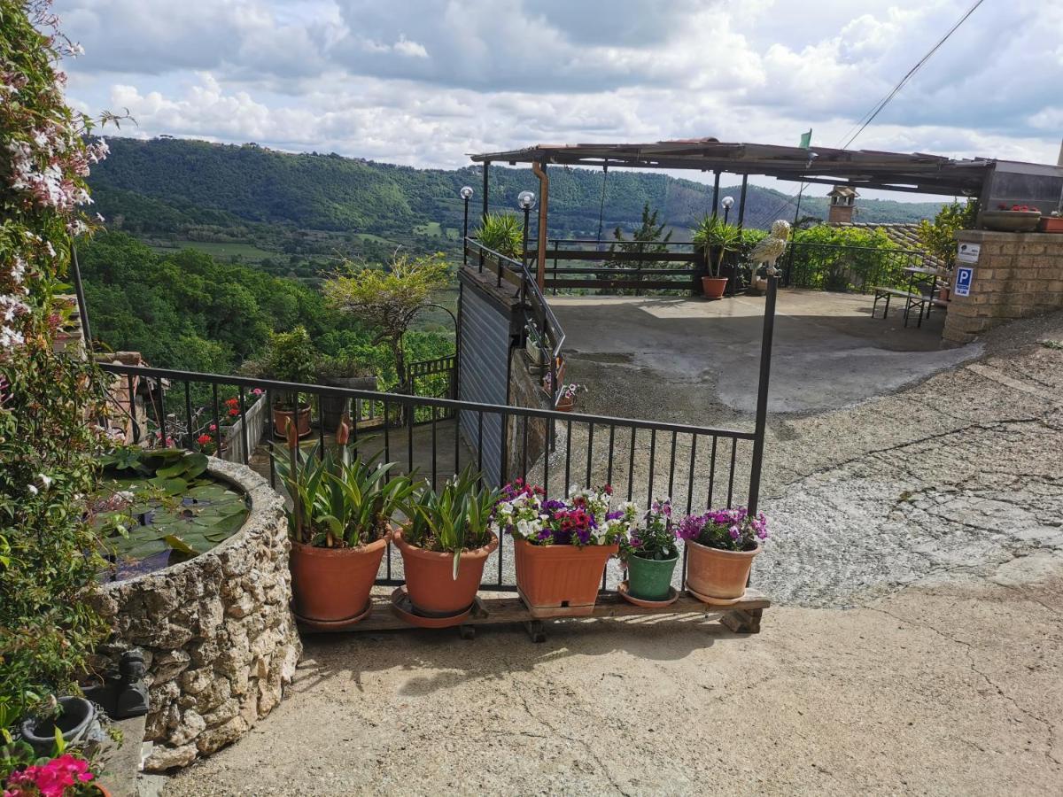 Francigena Sul Lago Montefiascone Exteriér fotografie